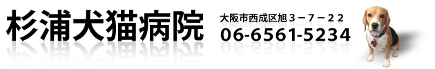 杉浦犬猫病院